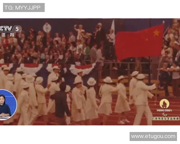 深圳排球队的崛起之路：从默默无闻到全国瞩目的辉煌历程