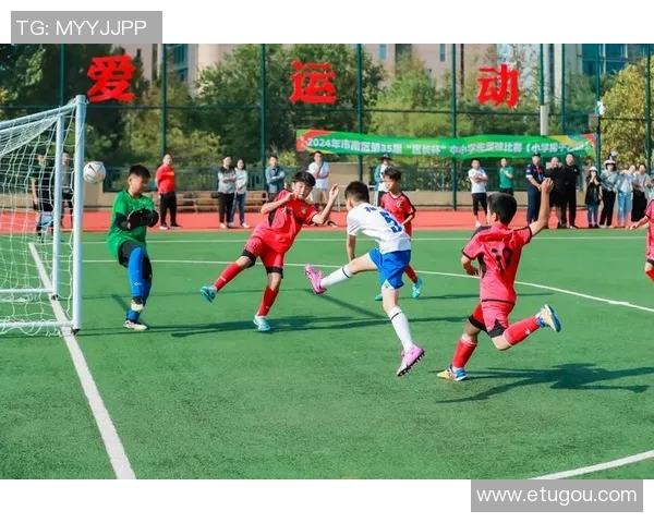 足球明星亲自穿上球衣的视频展现他们的热情与风采让我们一起感受足球魅力