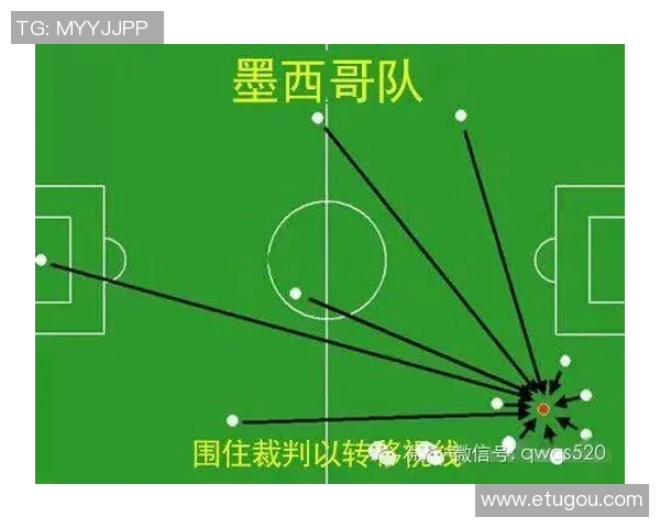南京排球队在世界杯中的战术表现分析与总结