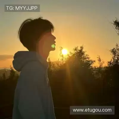 怀献义